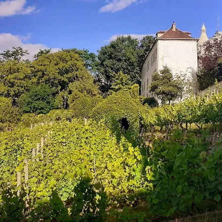 Charming In The Heart Of Montmartre!